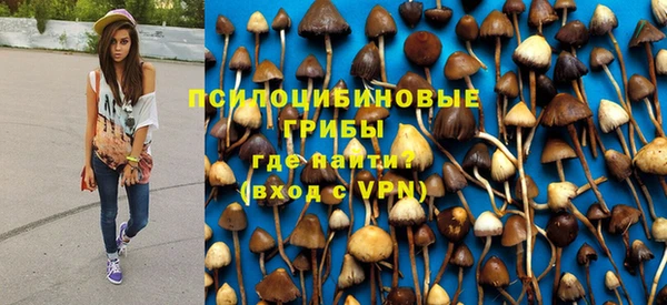 прущий лед Алзамай