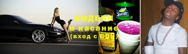 прущий лед Алзамай