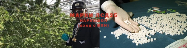 прущие крисы Алексеевка
