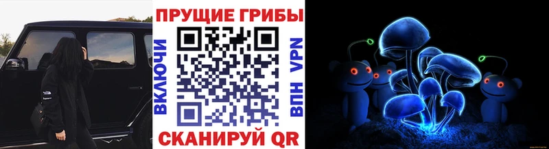 магазин продажи Любань Псилоцибиновые грибы прущие грибы