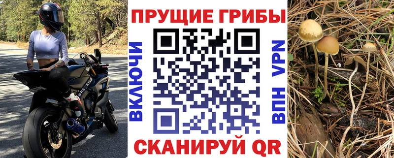 Галлюциногенные грибы Magic Shrooms Любань