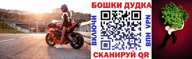 Бошки Шишки семена  Любань 